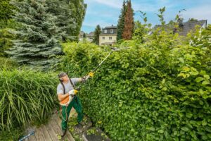 Mehr über den Artikel erfahren Baumpflege Holzwickede